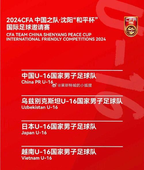 标题：2024CFA中国之队·沈阳“和平杯”国际足球邀请赛中国队2:1胜乌兹别克斯坦队